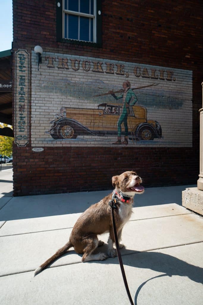 Truckee