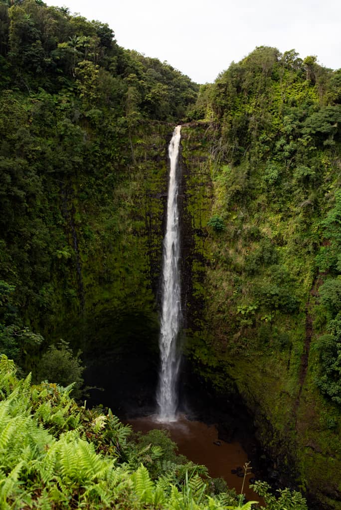 Akaka Falls | Things to do on the Big Island
