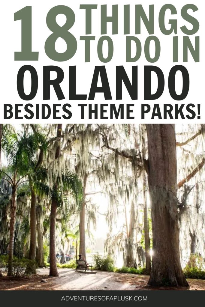 18 Things to do in Orlando besides theme parks, what to do in Orlando, Things to do in Orlando, What to eat in Orlando, Best food in Orlando, Orlando without Disney, Orlando without Universal, Orlando city guide, cheap things to do in Orlando, Central Florida Springs, Springs near Orlando, Orlando Florida things to do, Where to stay in Orlando, When to go to Orlando