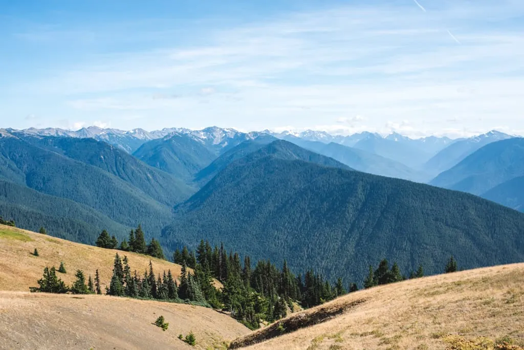 Olympic National Park | Best National Parks to visit in July