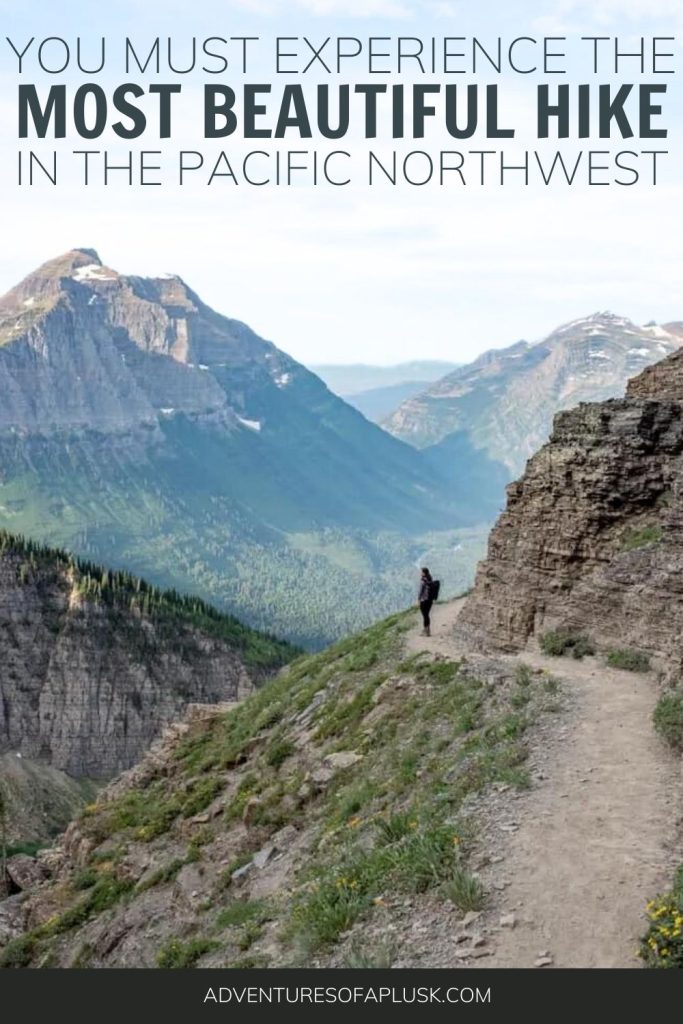 Hiking the Highline Trail at Glacier National Park: Highline Trail Route Options, Tips for the Highline Trail, When to hike the Highline Trail, What to bring on the Highline Trail, Highline Trail Tips, Highline Trail Glacier National Park, Best hikes in the United States, Best hikes in America, Best hikes at Glacier National Park, Glacier National Park hikes, Bucket list hikes, National Park hikes