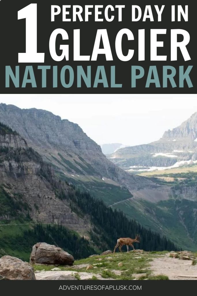 Hiking the Highline Trail at Glacier National Park: Highline Trail Route Options, Tips for the Highline Trail, When to hike the Highline Trail, What to bring on the Highline Trail, Highline Trail Tips, Highline Trail Glacier National Park, Best hikes in the United States, Best hikes in America, Best hikes at Glacier National Park, Glacier National Park hikes, Bucket list hikes, National Park hikes