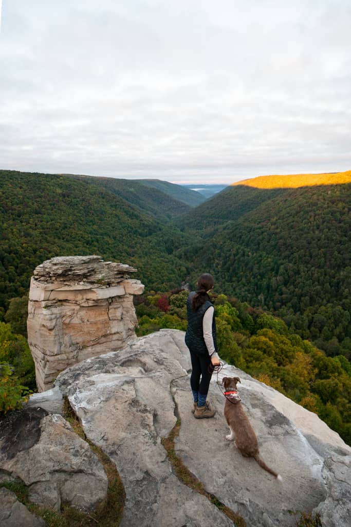 Blackwater Falls State Park | Canaan Valley in West Virginia