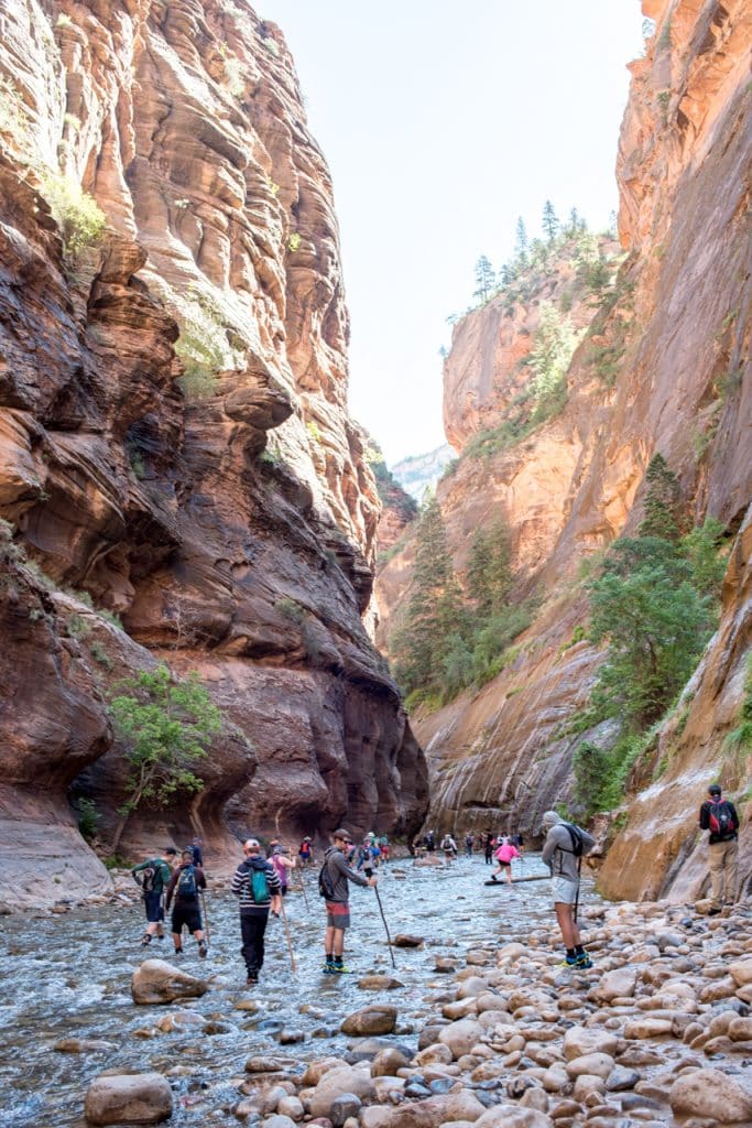 Narrows Zion National Park