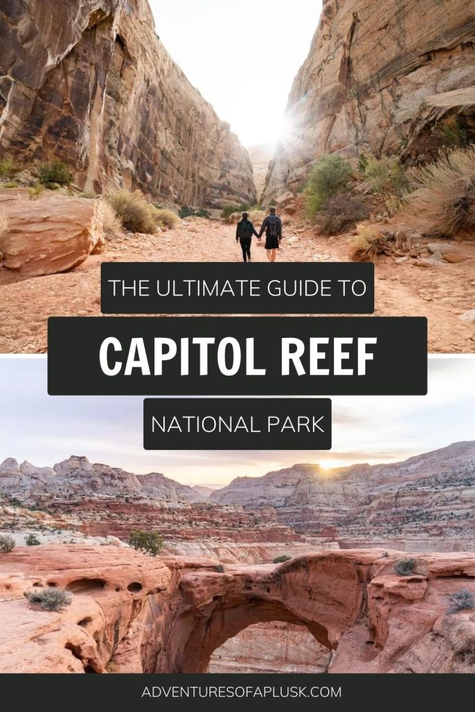 The Best things to do at Capitol Reef National Park | Southern Utah Road Trip | Mighty Five National Parks | Best things to do in Utah | Best Road trips in the US | Best US National Parks