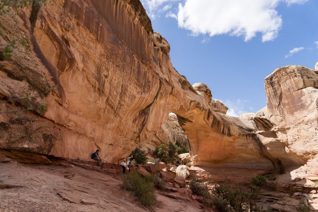 Things to do at Capitol Reef National Park