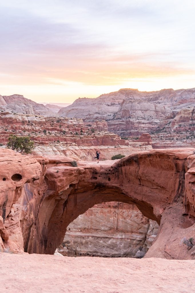 Cassidy Arch Capitol Reef National Park