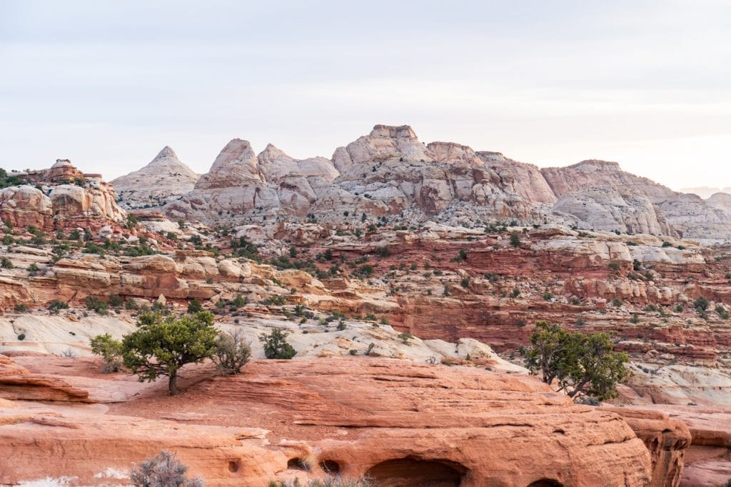Cassidy Arch Capitol Reef National Park