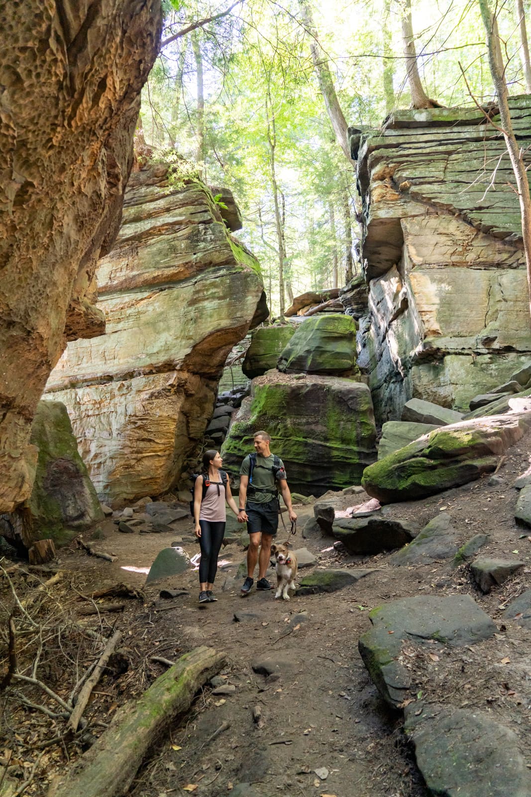 Ledges Trail Cuyahoga Valley National Park