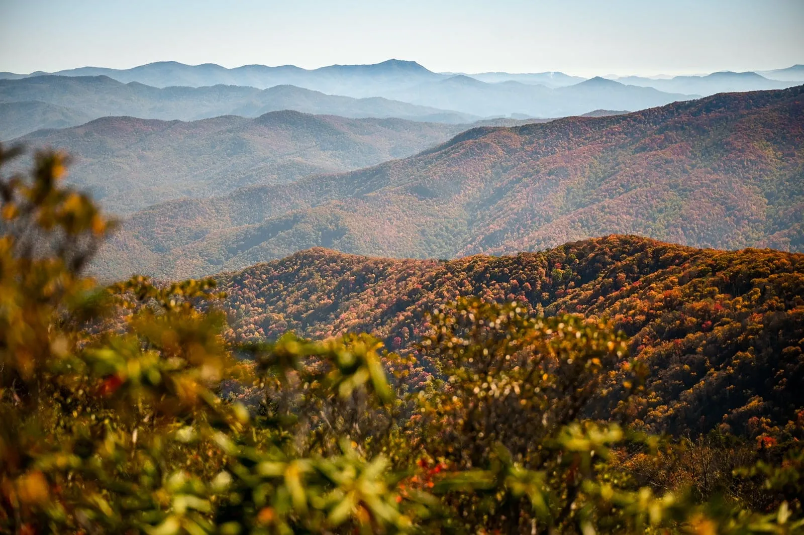 Cammerer | 9 Best Hikes in the Smoky Mountains