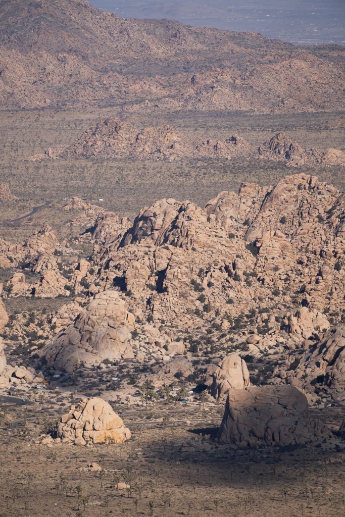 Ryan Mountain Joshua Tree National Park