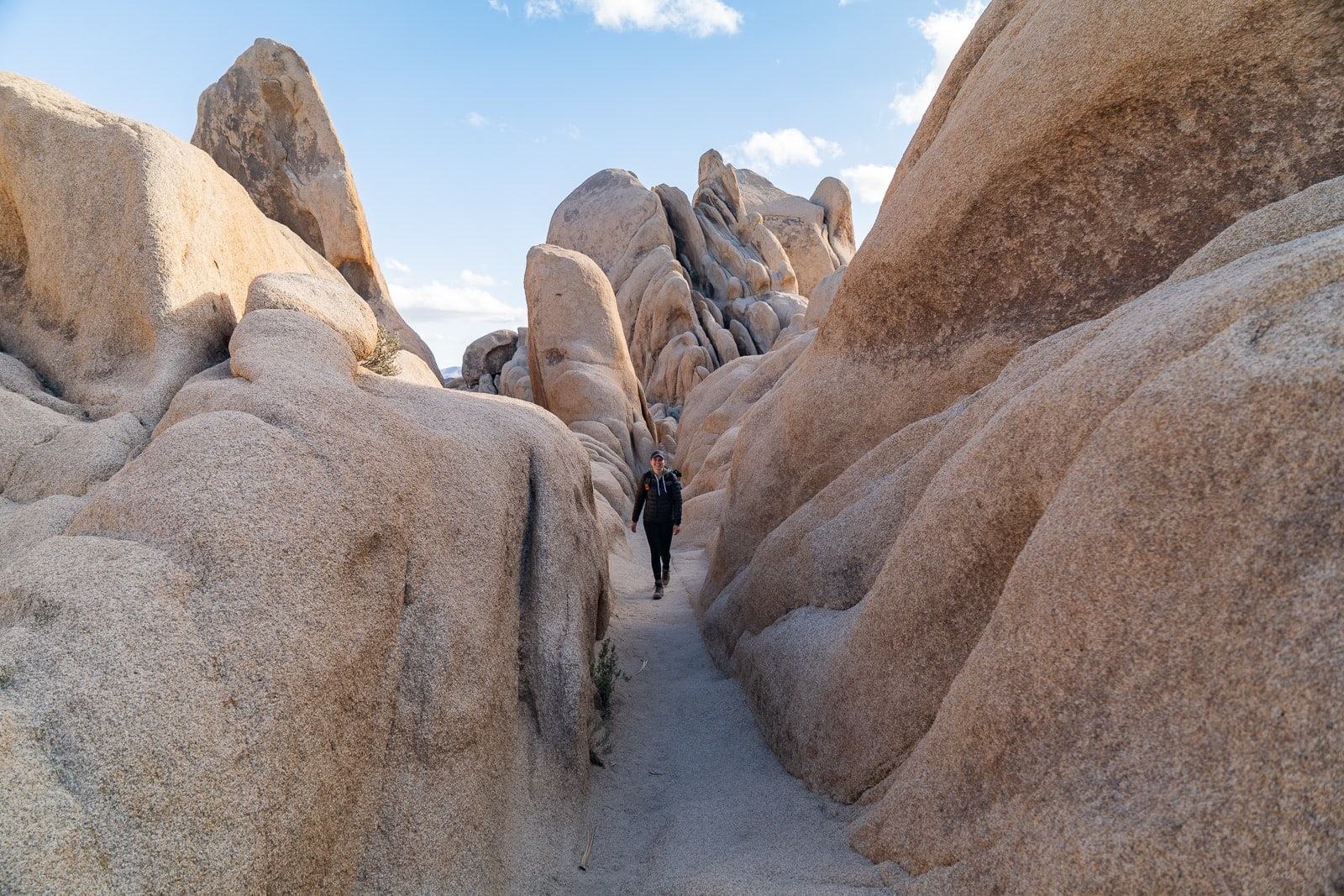 A Perfect One Day in Joshua Tree National Park Itinerary