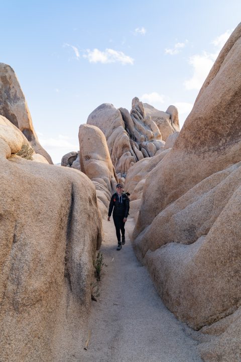 15+ Best Things to do in Joshua Tree National Park + Top Tips!
