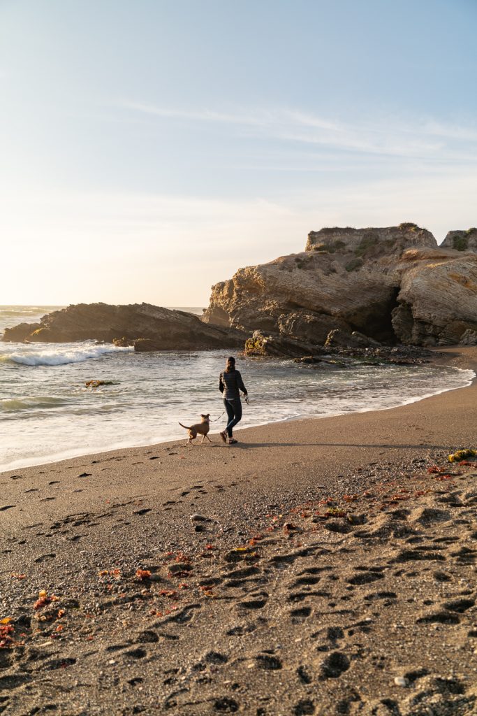 Montaña de Oro State Park | Things to do in San Luis Obispo, California
