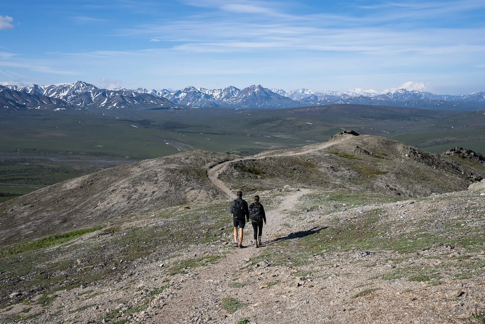 How to hike the Savage Alpine Trail (+ Savage River Loop Trail) in Denali National Park