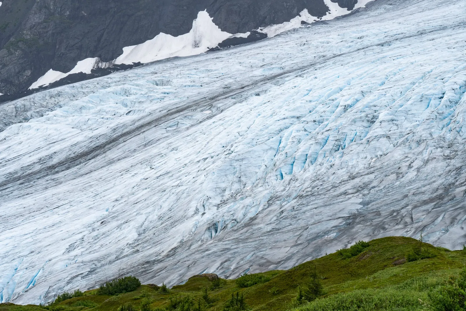 Harding Icefield Trail | Things to do in Kenai Fjords National Park | Alaska Kenai Fjords National Park