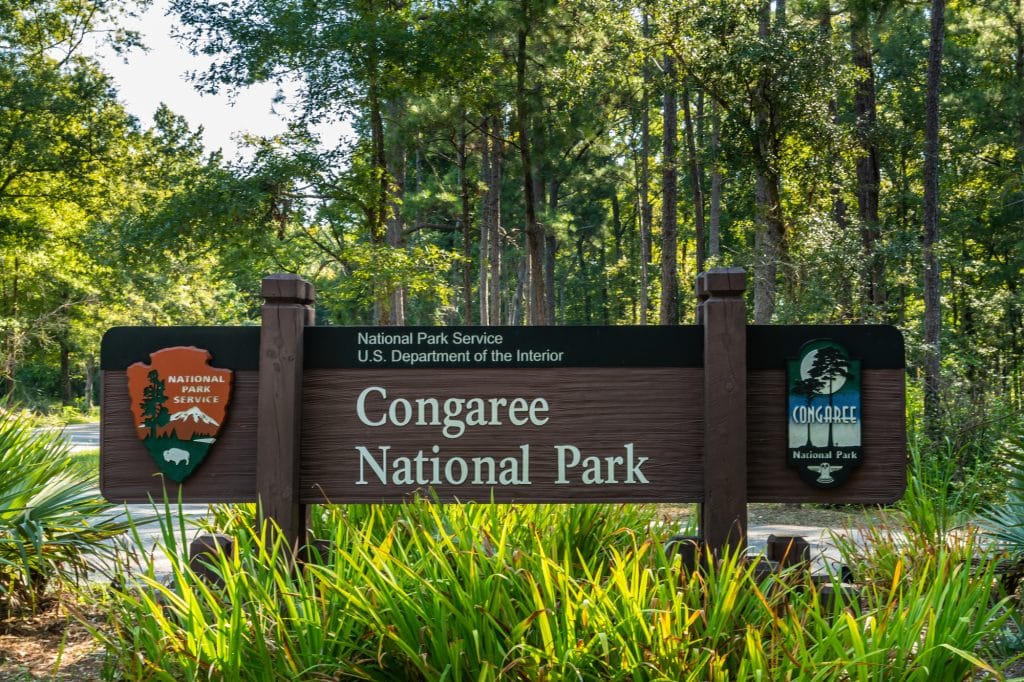 Congaree National Park | Best National Parks to visit in November