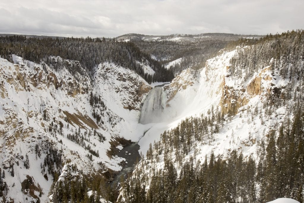 Yellowstone National Park | Best National Parks to visit in February