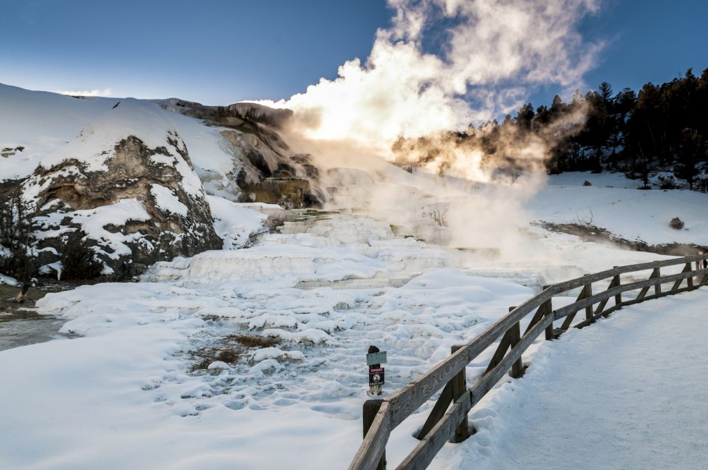 Yellowstone National Park | Best National Parks to visit in February