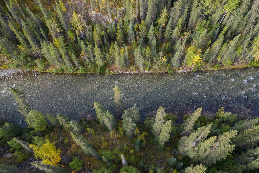 Stewart-Cassiar Highway