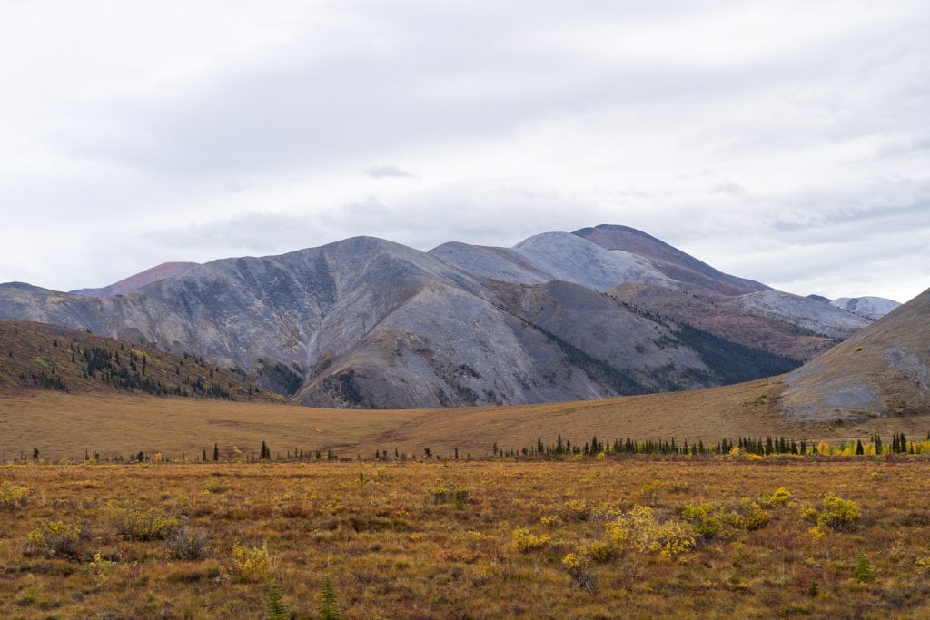 Driving the Dempster Highway to the Arctic Ocean
