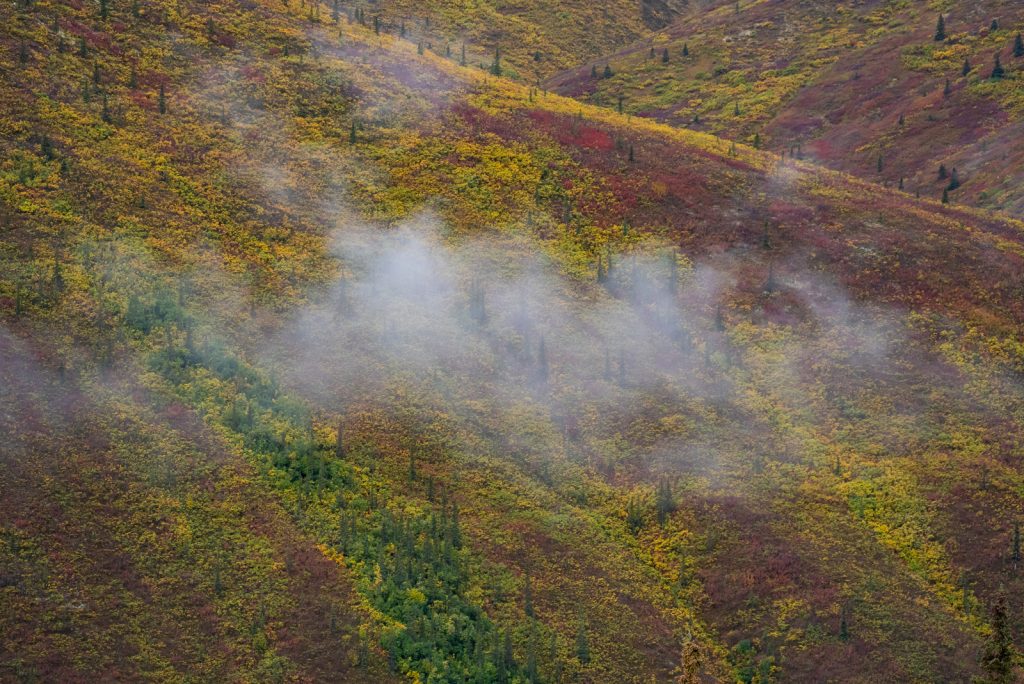 Tombstone Territorial Park on the Dempster Highway