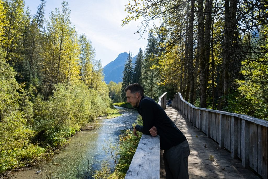 Fish Creek Wildlife Observation Site in Hyder, Alaska (Stewart-Cassiar Highway)