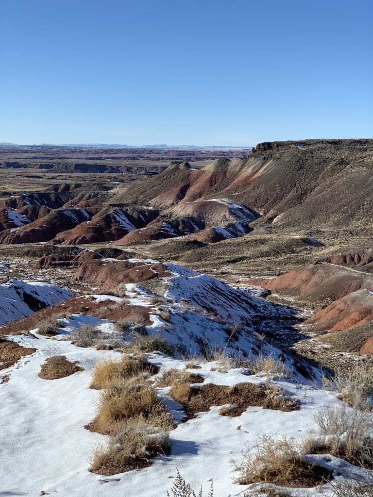 Petrified Forest National Park | Best National Parks to visit in March