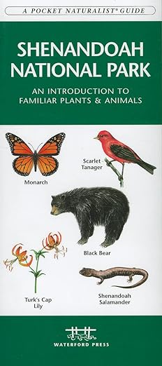 National Park Gifts