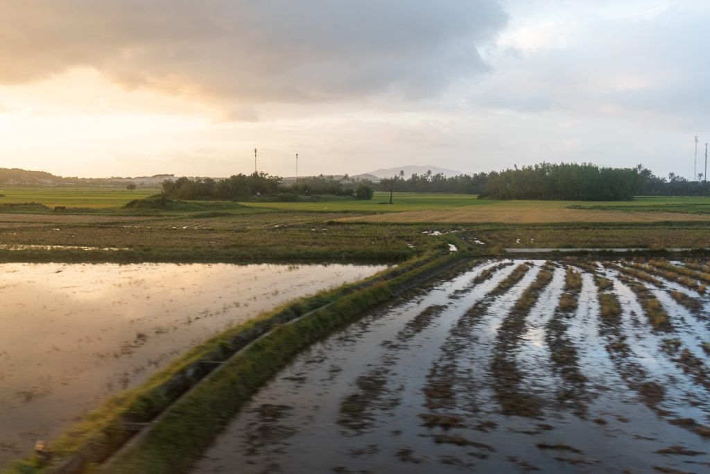 Views from Vietnam train