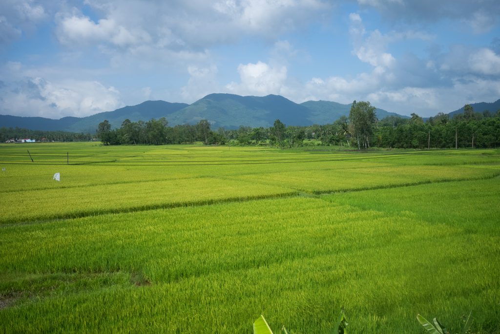 Views from Vietnam train