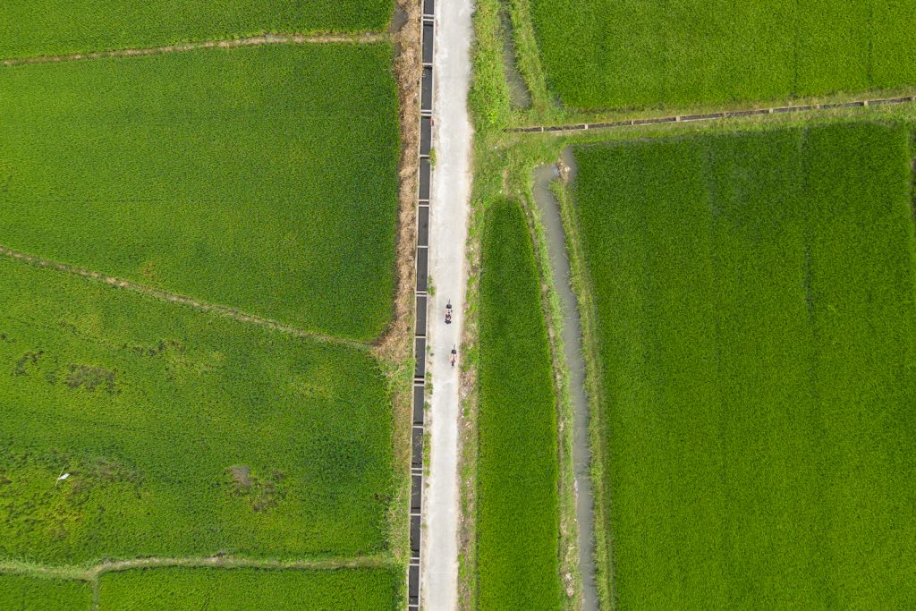 Bike ride in Hoi | Things to do in Hoi An Vietnam