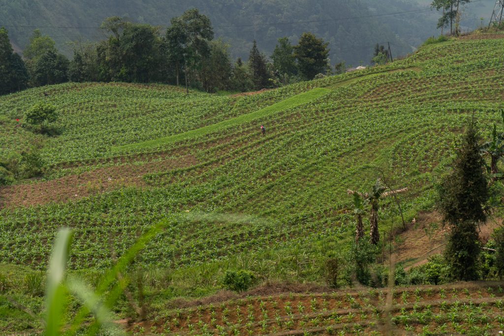 Ha Giang Loop Tour | Northern Vietnam Motorbike