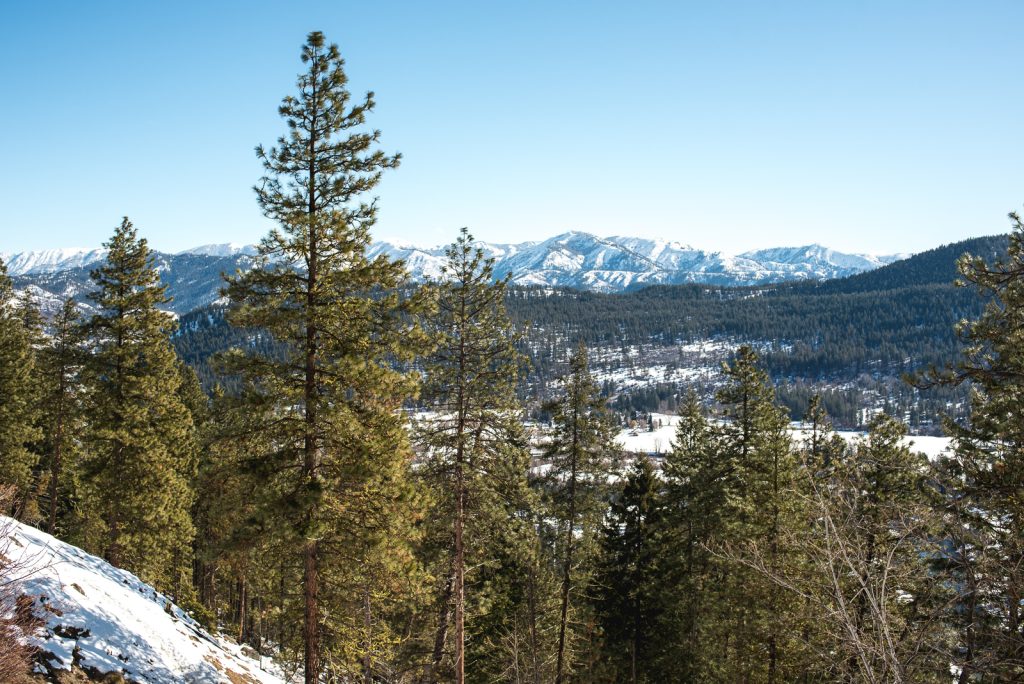 Icicle Ridge | Best Things to Do in Leavenworth, Washington