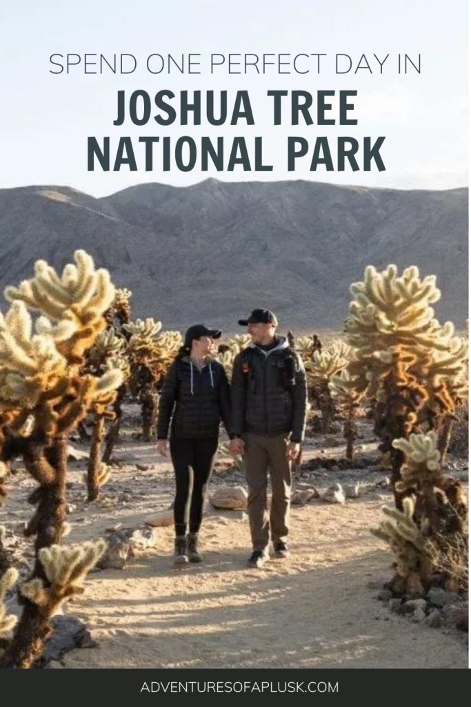 One day in Joshua Tree National Park Itinerary | Things to do in Joshua Tree National Park | Day trip to Joshua Tree National Park | Best national parks on the West Coast | Things to do in California | National Parks in California