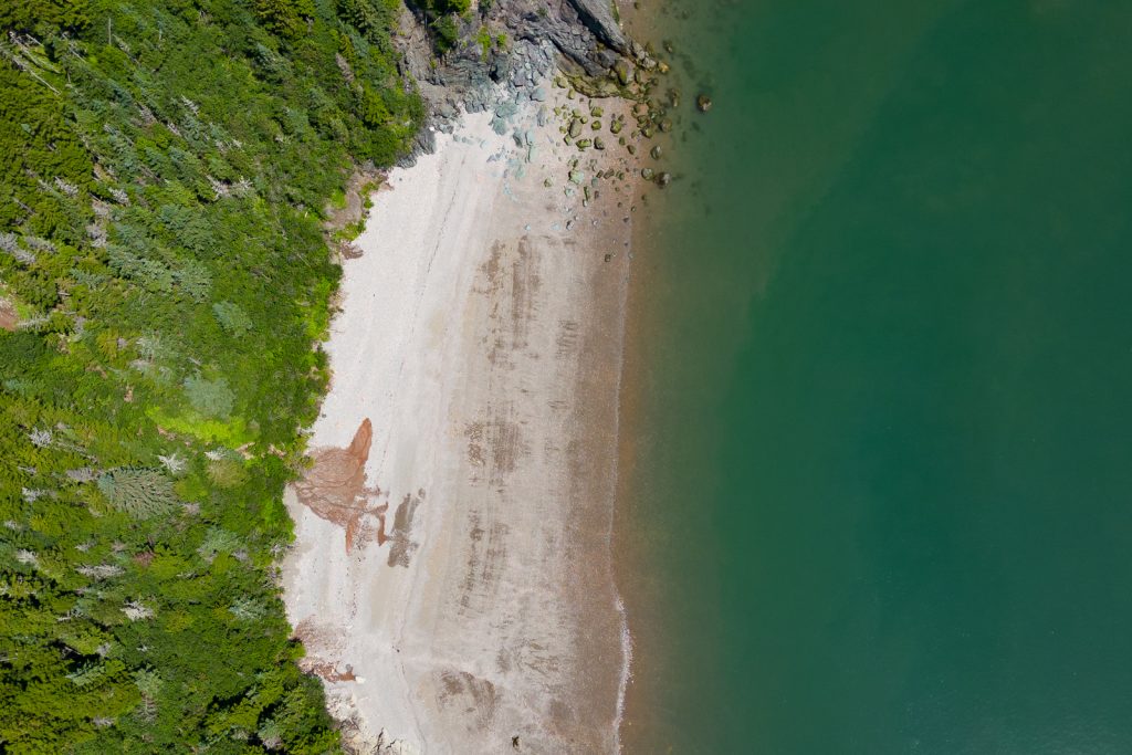 Fundy Trail Parkway | Fundy Provincial Park | Things to do in New Brunswick