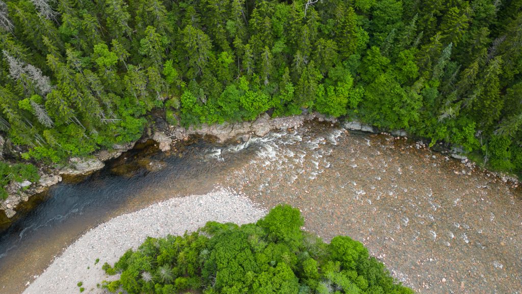 Fundy Trail Parkway | Fundy Provincial Park | Things to do in New Brunswick