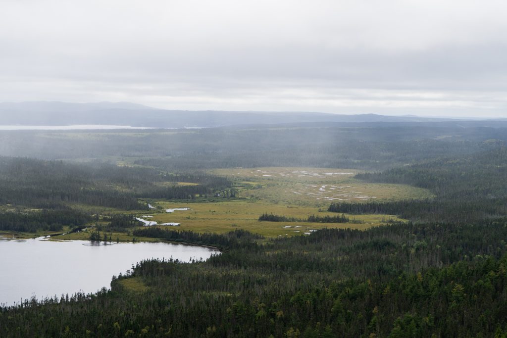 Terra Nova National Park | Things to do in Newfoundland