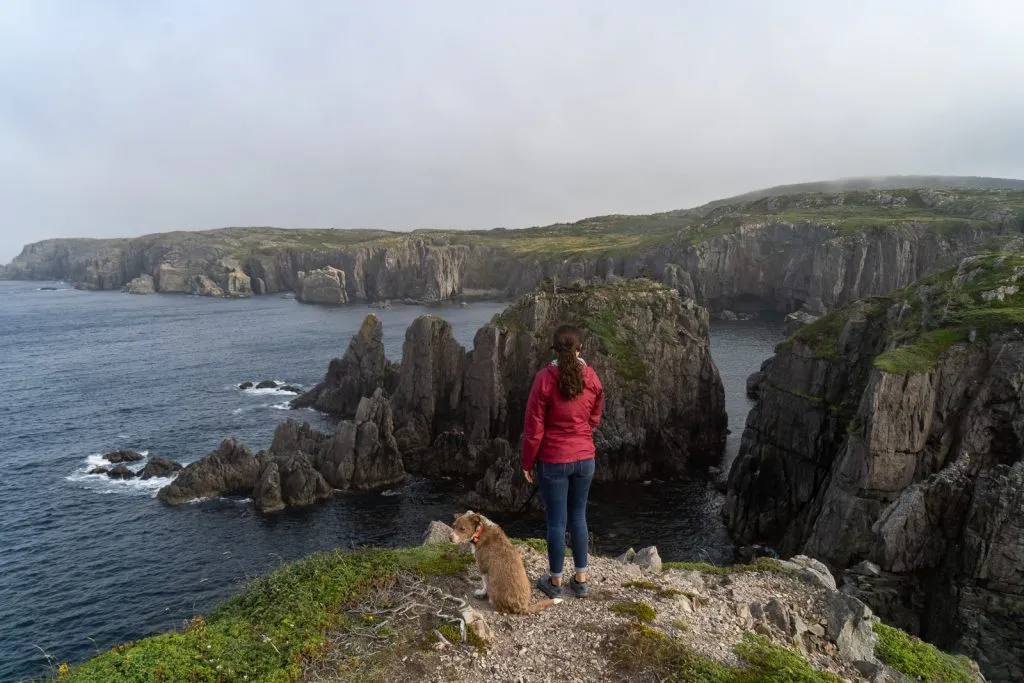 Things to do in Bonavista Newfoundland | Things to do in Newfoundland