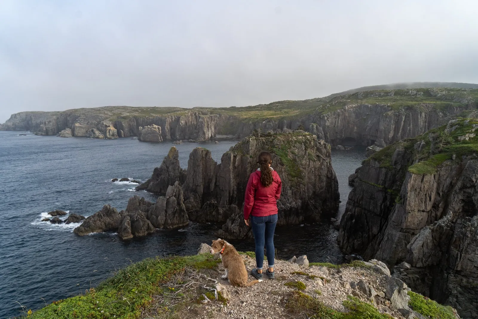 10 BEST things to do on the Bonavista Peninsula in Newfoundland, Canada