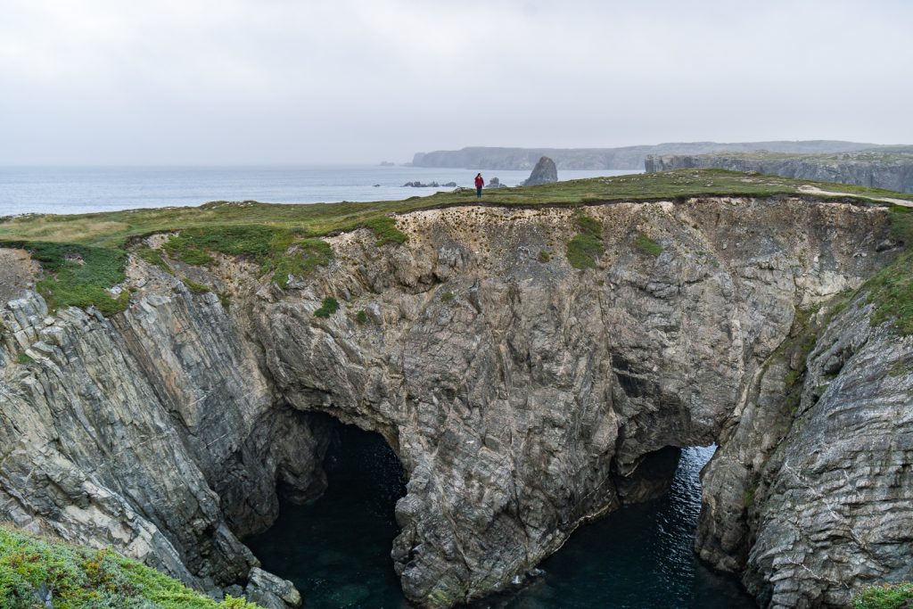 Things to do in Bonavista Newfoundland | Things to do in Newfoundland