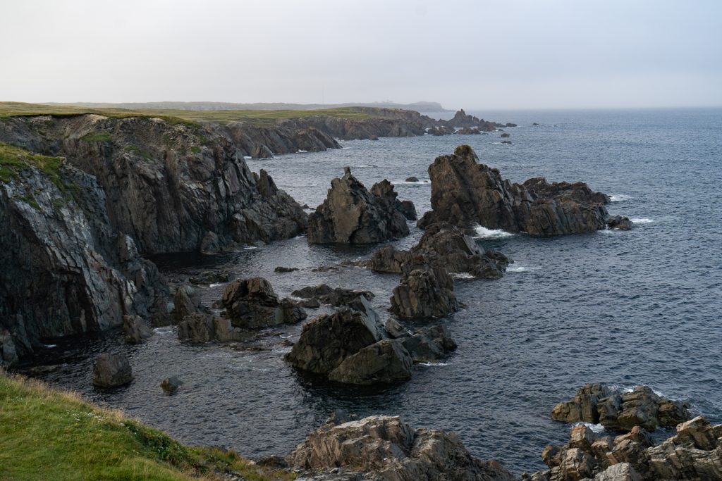 Things to do in Bonavista Newfoundland | Things to do in Newfoundland