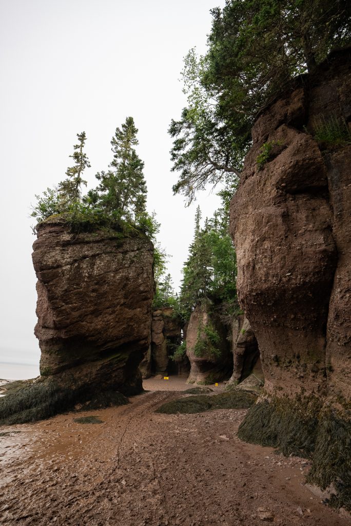 Hopewell Rocks in New Brunswick Bay of Fundy