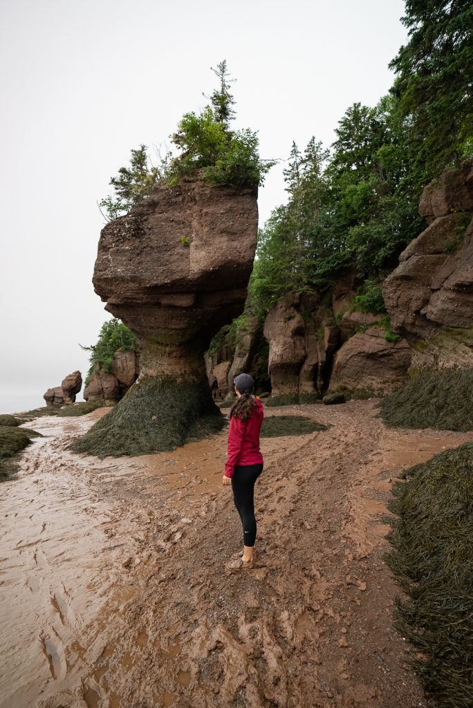 Hopewell Rocks in New Brunswick Bay of Fundy