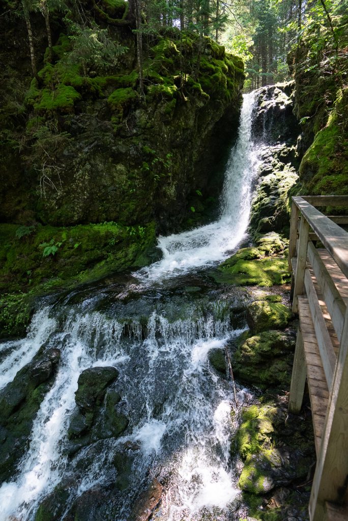 Fundy National Park