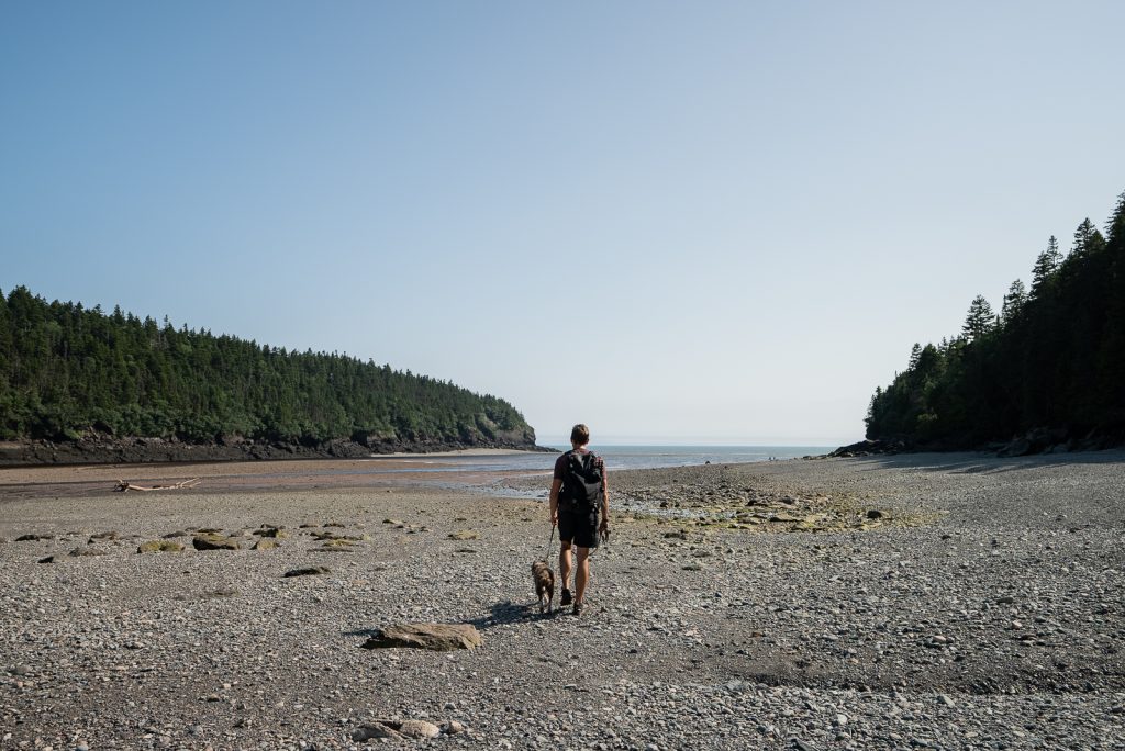 Fundy National Park