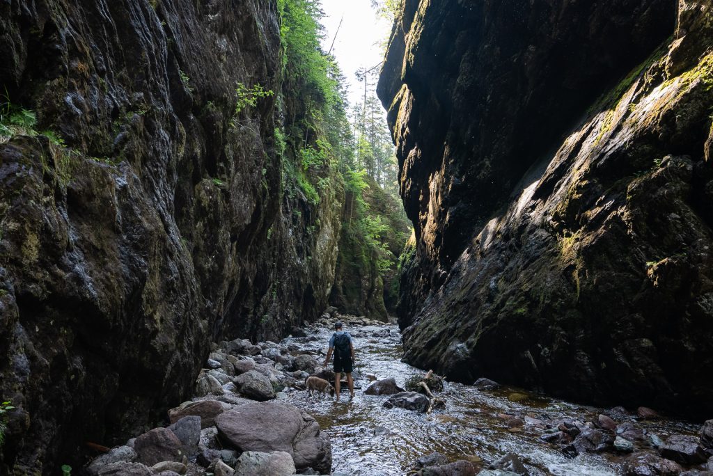 Fundy Trail Parkway | Fundy Provincial Park | Things to do in New Brunswick