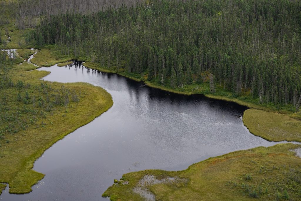 Terra Nova National Park | Things to do in Newfoundland