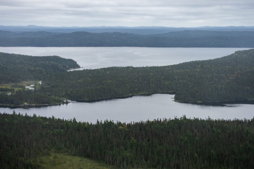 Terra Nova National Park | Things to do in Newfoundland