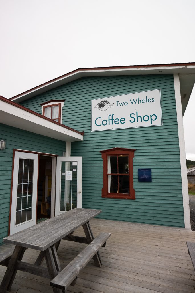 Bonavista Peninsula | Things to do in Newfoundland